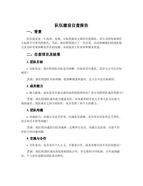 队伍建设自查报告
