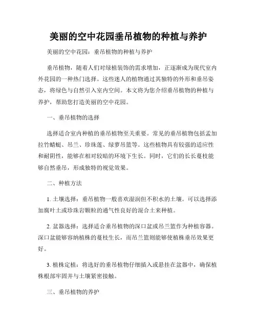 美丽的空中花园垂吊植物的种植与养护