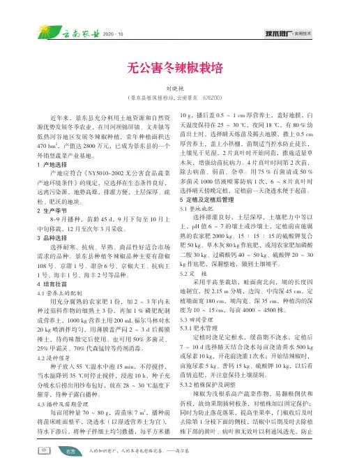 无公害冬辣椒栽培