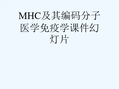 MHC及其编码分子医学免疫学课件幻灯片