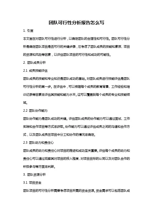 团队可行性分析报告怎么写