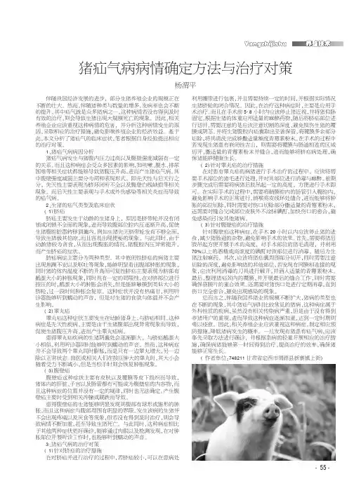 猪疝气病病情确定方法与治疗对策