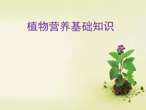 植物营养基础知识实用版