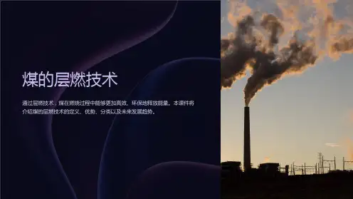 《煤的层燃技术》课件