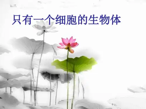 单细胞生物