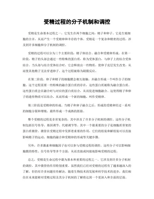 受精过程的分子机制和调控