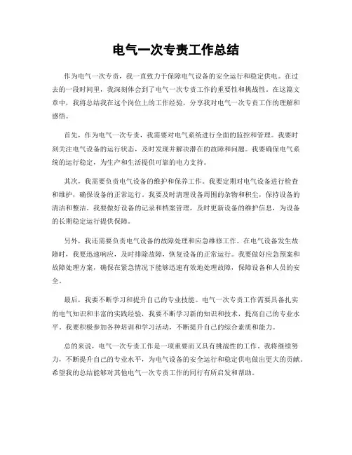 电气一次专责工作总结