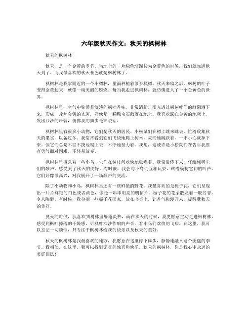 六年级秋天作文：秋天的枫树林