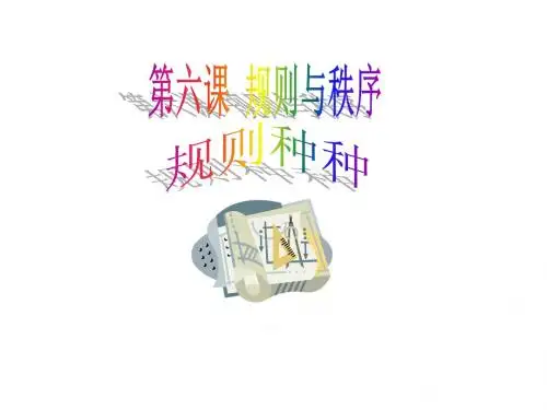 规则与秩序 规则种种