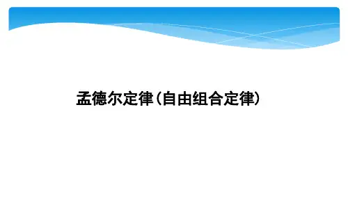 孟德尔定律(自由组合定律)