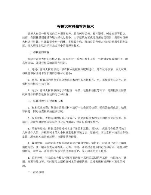 香樟大树移栽管理技术