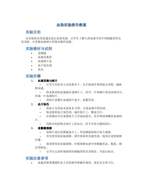 血染实验报告教案