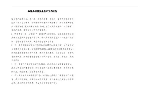 体育局年度安全生产工作计划