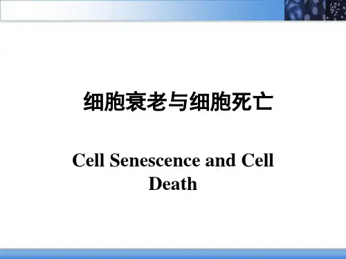 细胞的衰老与细胞死亡-衰老死亡的细胞是什么细胞