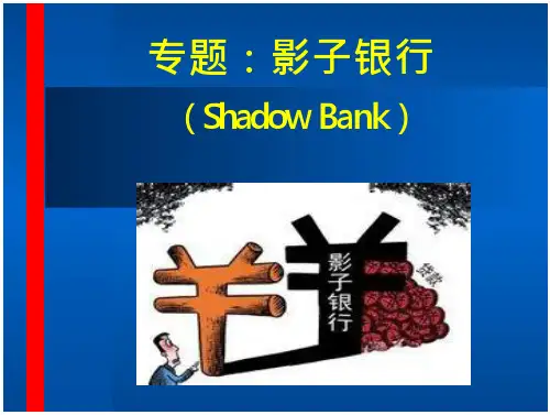 影子银行专题要点解读