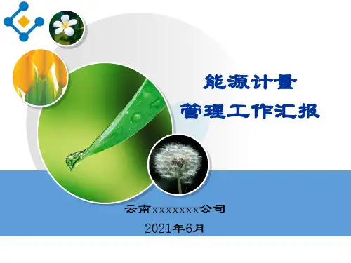 能源计量自检自查报告
