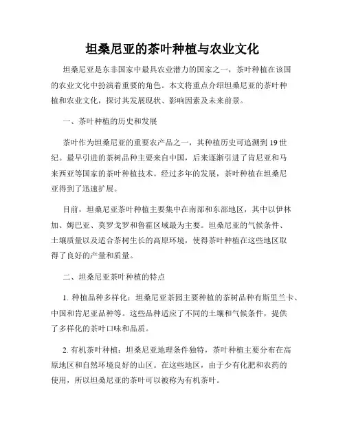 坦桑尼亚的茶叶种植与农业文化