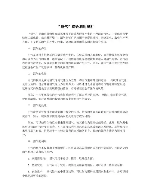 “沼气”综合利用浅析