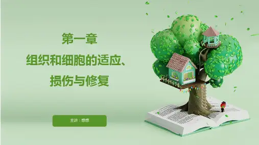 病理学 第一章 绪论,细胞组织的适应、损失与修复 ppt课件