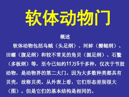 软体动物门