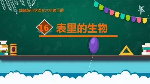 部编人教版六年级语文下册《表里的生物》课件