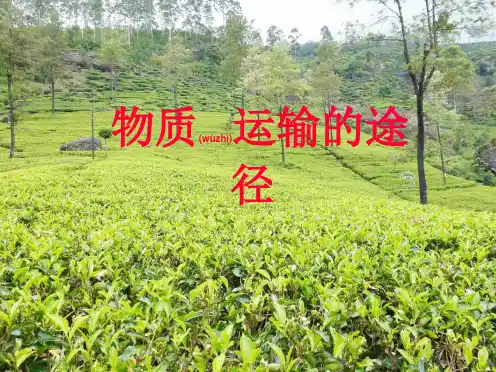 七年级生物下册 10.2 血液循环课件_1