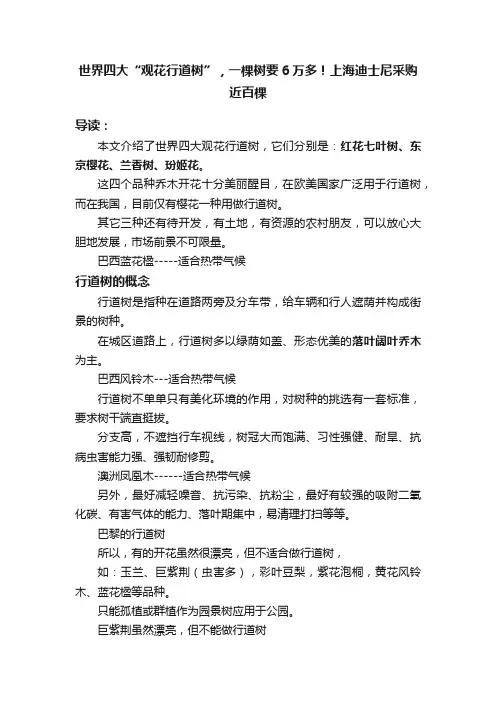 世界四大“观花行道树”，一棵树要6万多！上海迪士尼采购近百棵