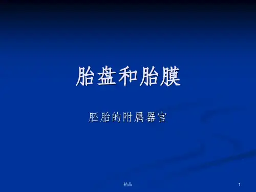 胎盘和胎膜ppt课件