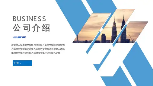 创业计划书系列项目介绍课件