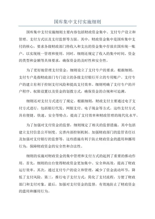 国库集中支付实施细则