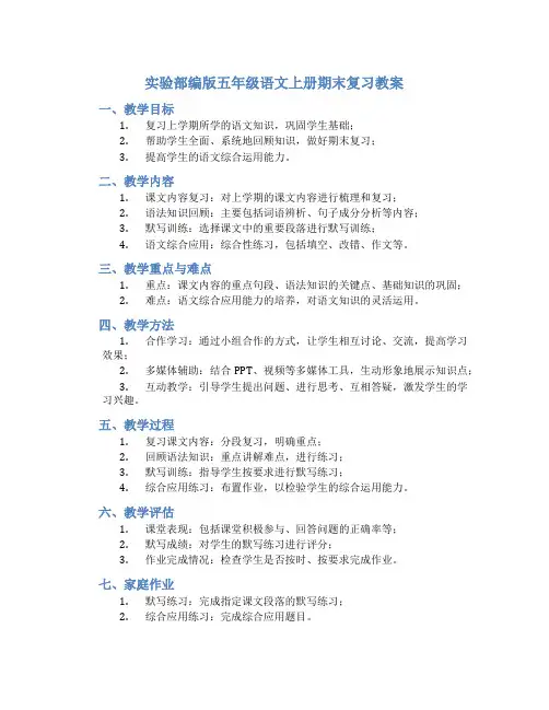 实验部编版五年级语文上册期末复习教案