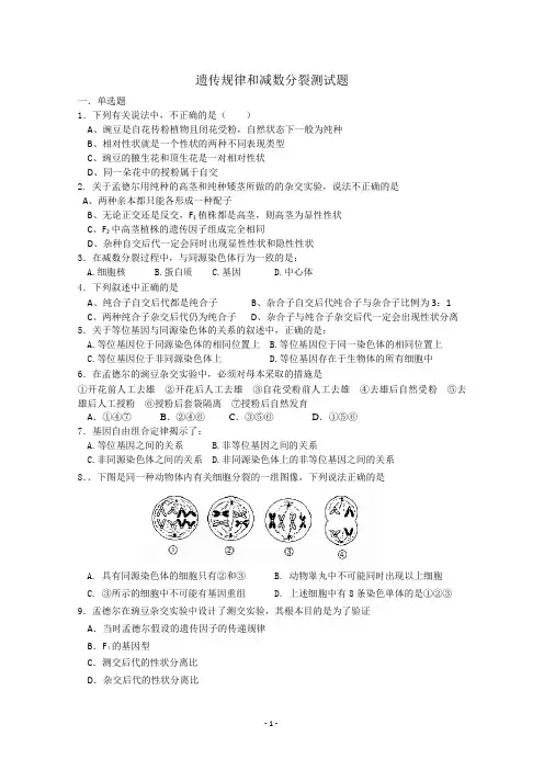 遗传规律和减数分裂测试题