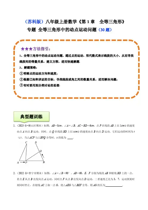 专题全等三角形中的动点运动问题(30题)(原卷版)