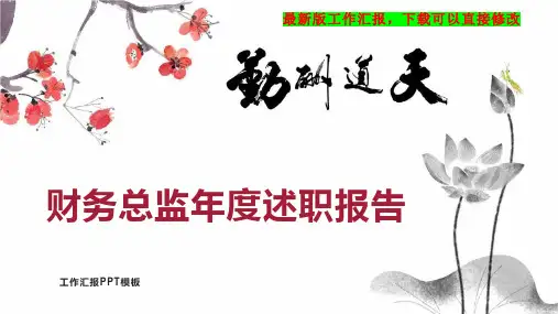 财务总监年度述职报告工作总结工作计划6PPT模板下载
