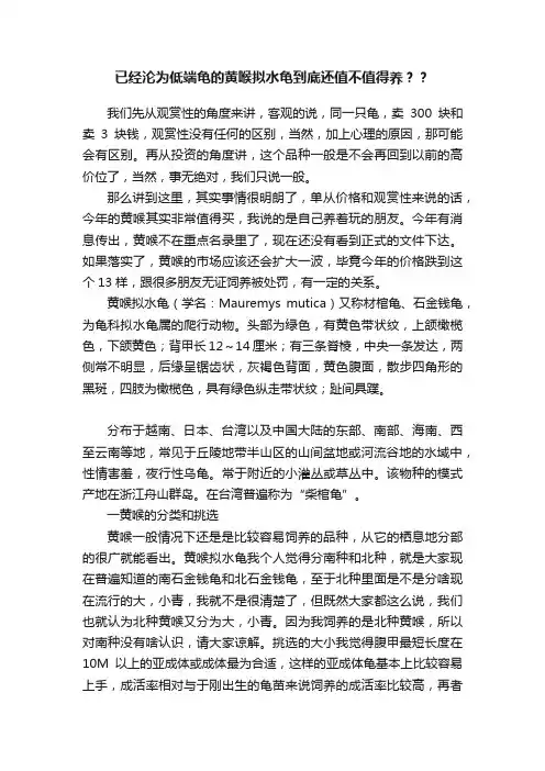 已经沦为低端龟的黄喉拟水龟到底还值不值得养？？