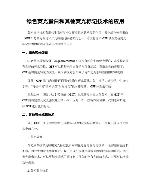 绿色荧光蛋白和其他荧光标记技术的应用