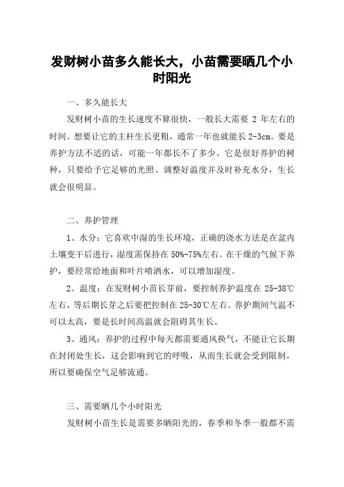 发财树小苗多久能长大,小苗需要晒几个小时阳光