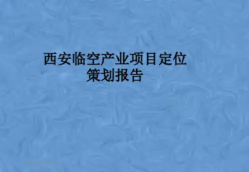 西安临空产业项目定位策划报告