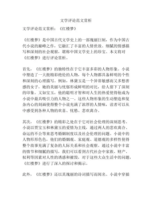 文学评论范文赏析