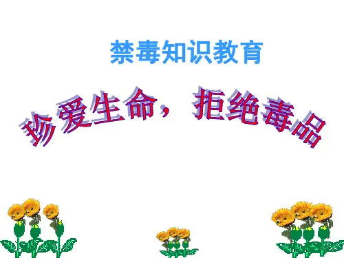 小学生毒品预防教育全解PPT课件