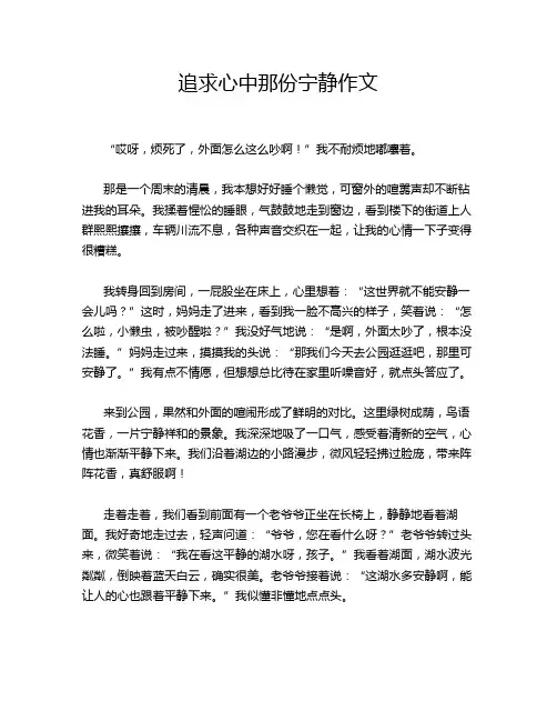 追求心中那份宁静作文