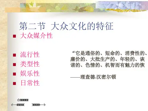 大众文化的特征精品PPT课件