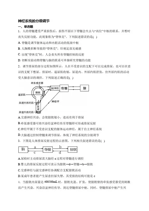 高中生物一轮复习神经系统的分级调节