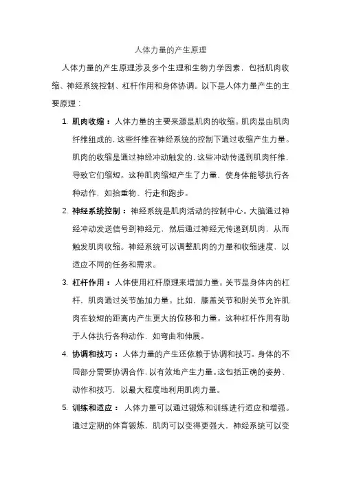 人体力量的产生原理