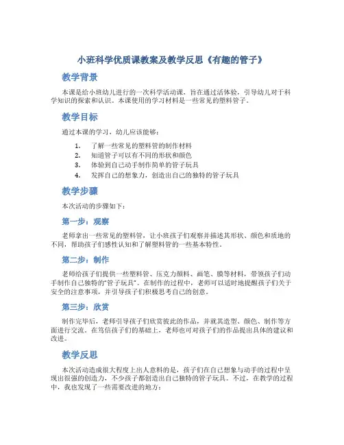 小班科学优质课教案及教学反思《有趣的管子》