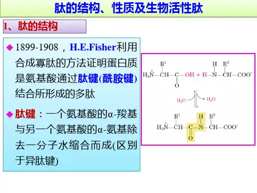 高中生物竞赛辅导课件：肽的结构、性质及生物活性肽