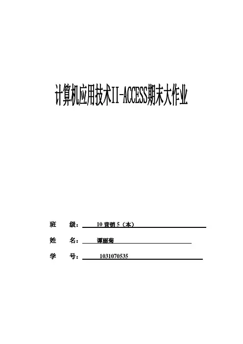 ACCESS期末大作业报告