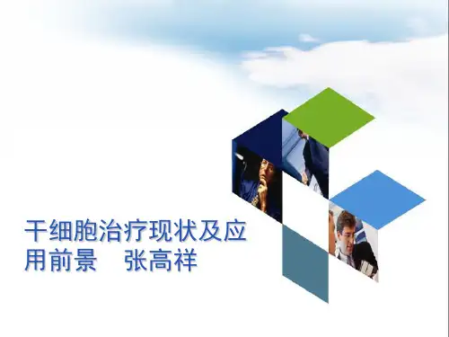 干细胞的应用
