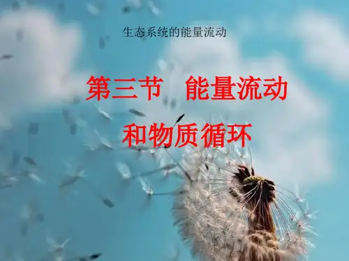 能量流动和物质循环PPT精品课件