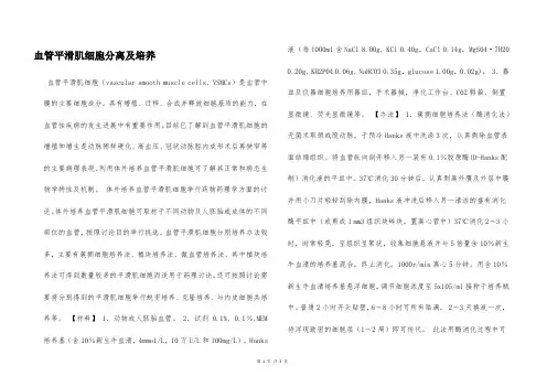 血管平滑肌细胞分离及培养  